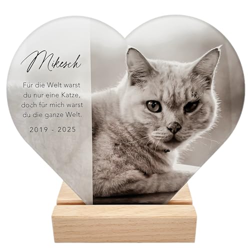 Gedenktafel Katze Andenken an verstorbene Katze Bild aus Acrylglas personalisiert zur Erinnerung & Trauer Glasherz mit Foto Geschenk für Katzenbesitzer inkl. Holzfuß 20x22 cm (Herz)