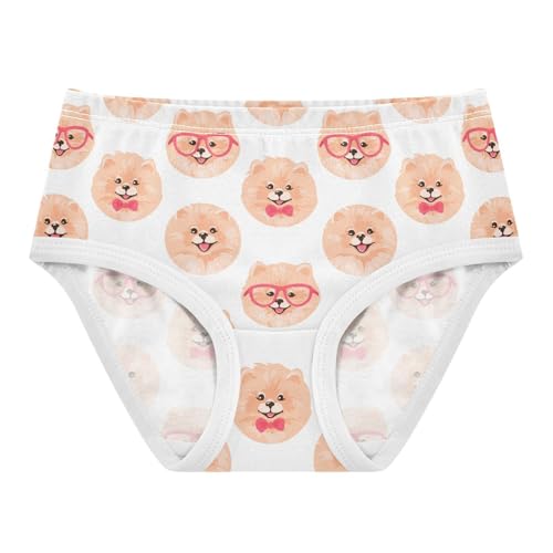Little Girl Underwear Toddler Panties Kids Undies Pomeranian Spitz Dog Soft Cotton Briefs 2T-8Y