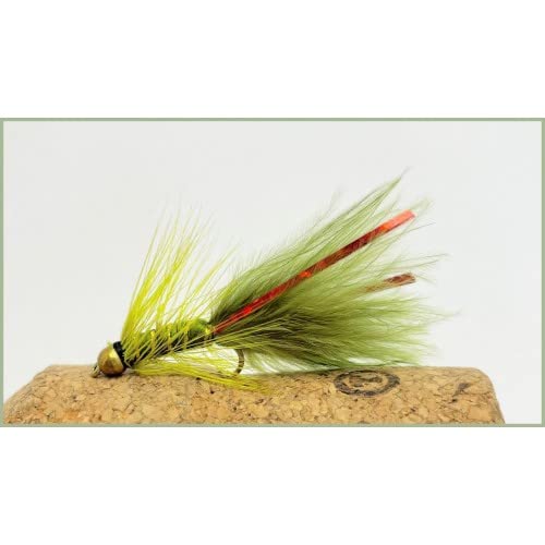12 pack of Mini Goldhead Flash Damsel Olive/Red Lures Fishing Flies. Size 12
