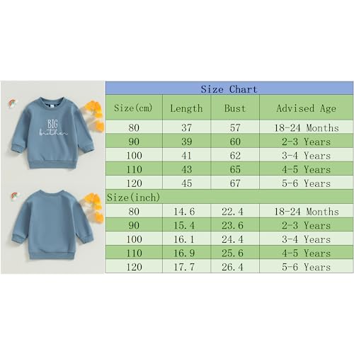 Frietlebird Moletom infantil com gola redonda Big Brother Little Brother, Moletom C-blue, 2-3 Anos