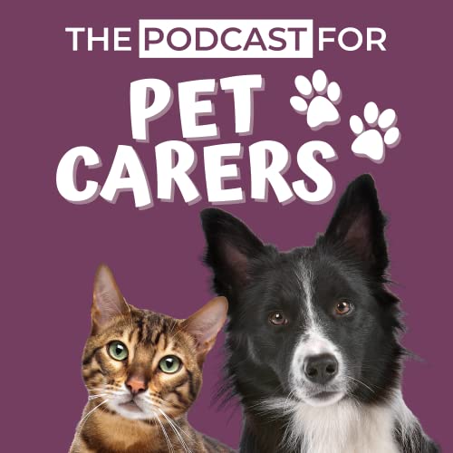 A Better Social Program for your Dog Podcast Por  arte de portada