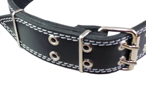 Collier en cuir large pour grand chien type Grand Danois robuste Dogs My Love