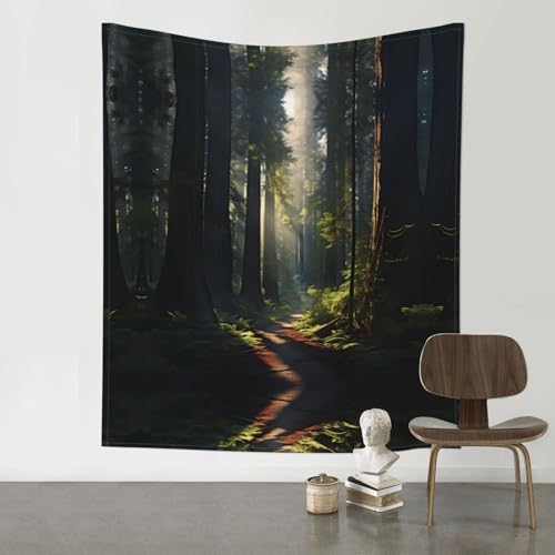 Tenture murale forêt de séquoia HYTTER, idée cadeau déco nature originale