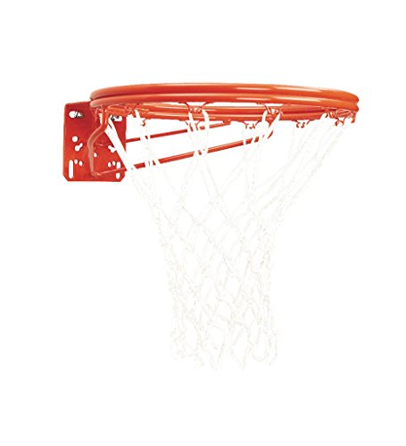 Bison Front Mount Double-Rim Goal