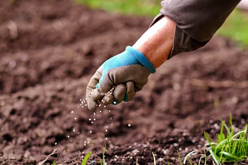 Image of Organic Single Super Phosphate (SSP) Essential Fertilizer All Purpose for Fruiting and Flowering Plants 880gm