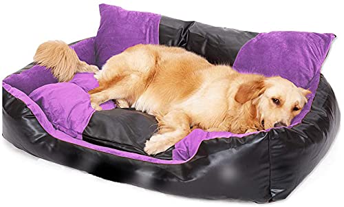 Petslover Ultra Soft Export Quality Sofa Bed Fiber Filled Easy to Clean Purple Color Dogs & Cats Bed - Small (B093Z8ZSYK) Amazon Price History, Amazon Price Tracker