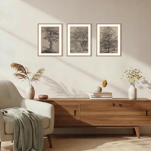Image of KAIRNE Vintage Tree Sketch Framed Canvas Wall Art Set, Antique Tree Drawings Wall Decor, Retro Forest Art Prints, Modern Nature Landscape Artwork for Living Room, Bedroom, Farmhouse, Office-12 x16 x3