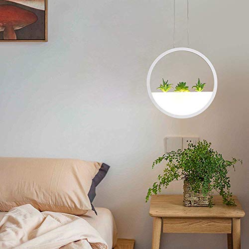 Lampe plante verte suspendue créez une ambiance nature dans votre restaurant ou café