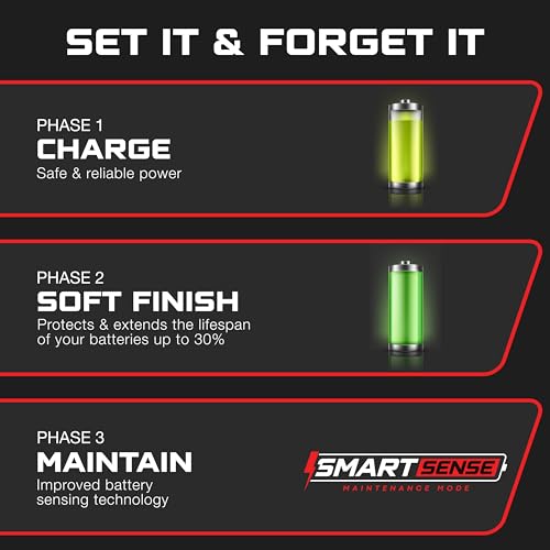 FORM 36 Volt Golf Cart Battery Charger for EZGO TXT Golf Carts with D-Style Plug - 36V 18AMP Lead Acid Battery Charger - Waterproof Design