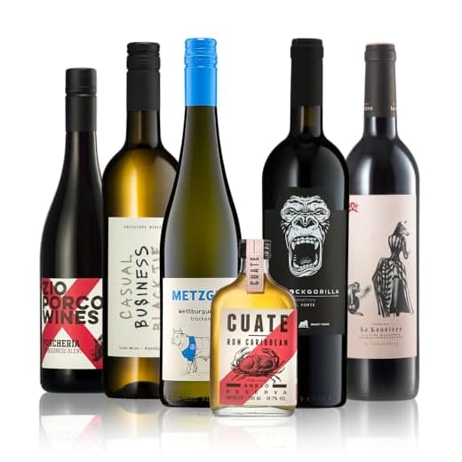 JP Chenet So Free Cabernet Syrah - Rotwein - Alkoholfrei NV trocken (1 x 0.75 l) 3 GEILE WEINE Weinpaket MÄNNERWEINE - Bester Weißwein, Rosé und Rotwein, der jedem Mann schmeckt