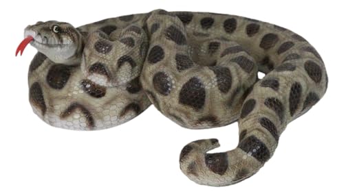 Ebros Realistic Ferocious Coiled Boa Snake Hand Painted Taxidermy Statue 17" Long Lifelike Snake Figurine Snakes Reptile Family Animal Decor Sculpture