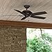 Hunter Fan Company, 53347, 52 inch Rainsford Premier Bronze Indoor/Outdoor Ceiling Fan and Pull Chain