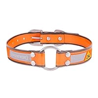 Algopix Similar Product 9 - Browning Performance Dog Collar 