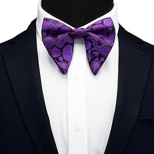 Set de corbata y pajarita de seda para hombre miniatura 2