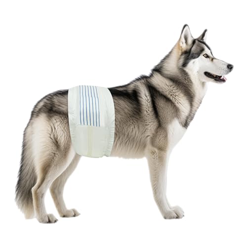 Image of BV Dog Wraps Male Large (Waist 21-26in) Super Absorbent - 400 Count Disposable - Doggie Diapers with Wetness Indicator - Adjustable Male Dog Wraps - Ideal for Incontinence /Training