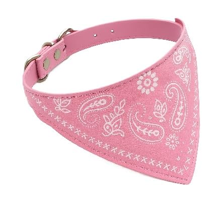Katzenhalsband mit Bandanatuch in Paisleyoptik und Schnalle in Größe S: 20-26cm Halsumfang