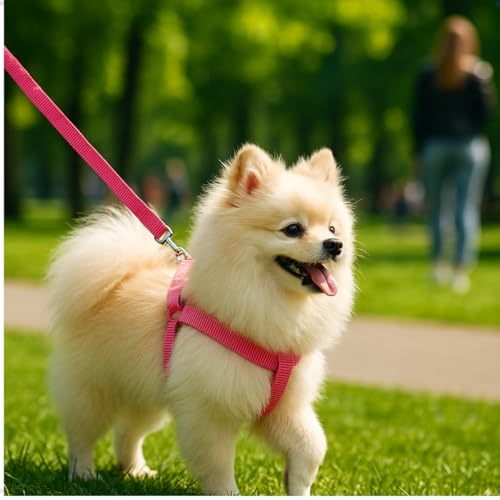 Conjunto Peitoral e Guia para Cães de Raças Pequenas, Rosa Pink, Ajustável