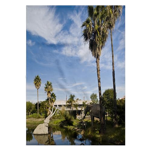 3dRose 22x30 Bath Hand Pool Towel Los Angeles CA WBI0578