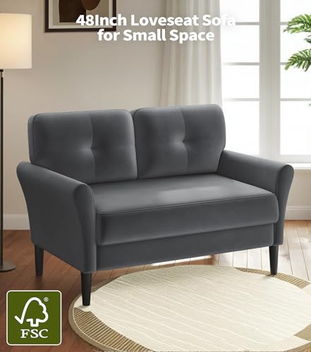 Domusensus Kleines Sofa 2 Sitzer, 123CM kleine Couch 2 Sitzer, Sofa klein mit 53CM extra tiefen Sitzen, MiniSofa Wohnzimmer, Werkzeugfreie Montage Sofas & Couches, Bequemer Samt Mini Couch, Grau