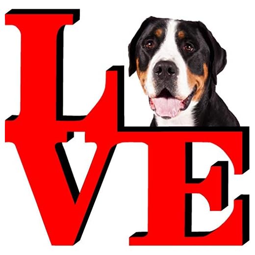 Greater Swiss Mountain Dog Love Park Cute Dog Fridge Refrigerator Car Magnet