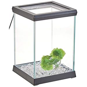 Ocean Free AT619A Kit Betta Space LED, zwart