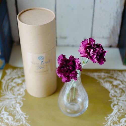 [Lotus Garden] [母の日2026] フリーズドライフラワー 「水のいらないカーネーションギフト ニコニコ」