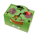 Schmuckbanderole Minipflanzset Glücksklee