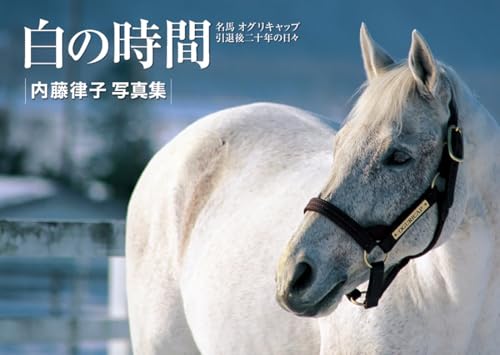 本の表紙