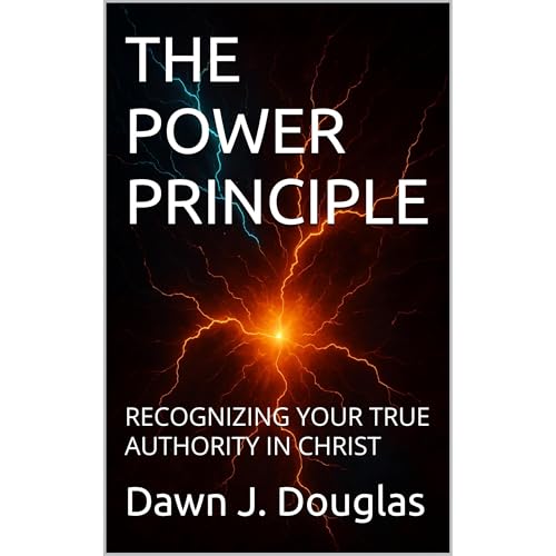 THE POWER PRINCIPLE Audiolibro Por Dawn J. Douglas arte de portada