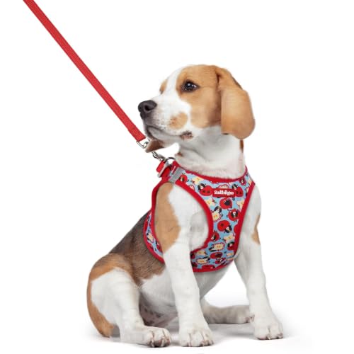Image of rabbitgoo Dog Harness Medium Sized and Leash Set, Step-in Puppy Pet Vest