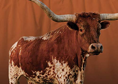 BRIEF INSANITY Longhorn Boxer Briefs (S-XXL) - Durable, Comfortable Underwear Shorts for Men & Women2