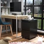 METAN Fully Assembled 2 Drawer File Cabinet with Lock, Mobile Under Desk Filing Cabinet for Office Legal/Letter Size, Pre Assembled Except Wheels,Black - Image 2