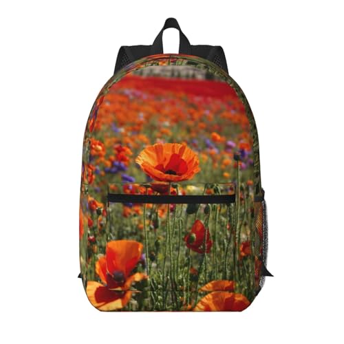 Mochila escolar ligera EdWal negra con bolsillo para evitar dolores de espalda
