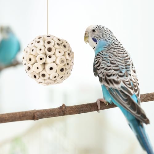Naturalne kulki Sola, zabawki dla ptaków, miękka zabawka do żucia, do żucia, dla papugi papugi Budgie Finch ara chomiki króliki