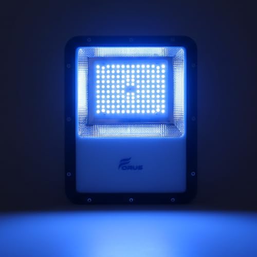 Image of Forus 100W Blue Color Flood Light Outdoor LED Waterproof Decorative Focus Lamp for Home Garden Events Security Terrace Landscape Pathway Building Festival Stage Party Celebration Lighting - 1 Pc