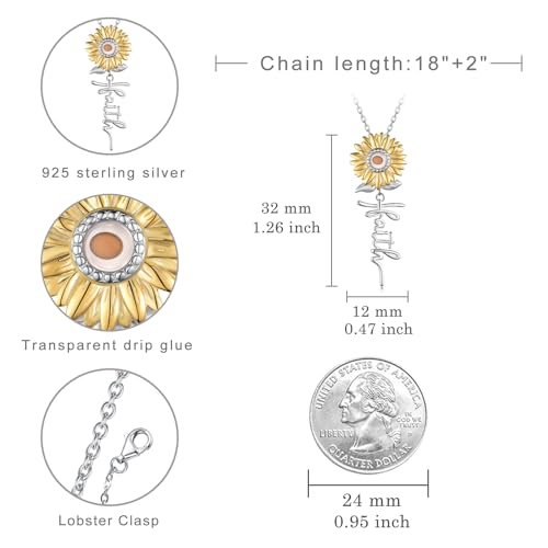 Mustard Seed Necklace 925 Sterling Silver Mustard Seed Jewelry Christian Jewelry Gifts for Women4