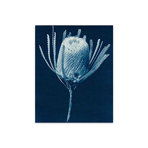 Affiche de feuille de fleur bleue nordique 70x100 cm pour salon