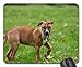 Produktbild Gaming-Mauspads, Mauspad, Hundepark-Naturhundepark-Tierhaustier-Gras-Junge