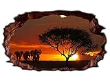 3D Wandtattoo Afrika Savanne Elefant Safari Baum Motiv Wohnzimmer Wand Aufkleber sticker 11M151_P, Wandbild Größe E:ca. 162cmx97cm