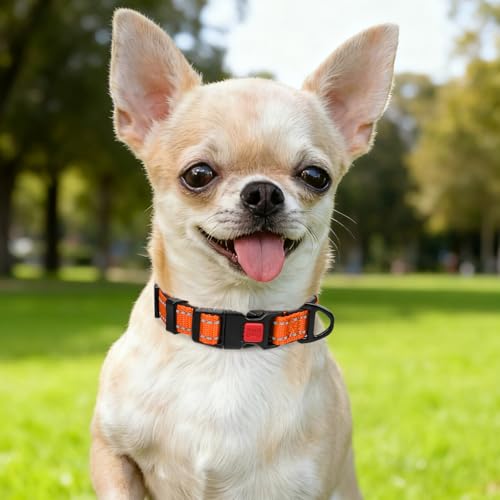 Image of Taglory Reflective Dog Collar for Puppies, Gentle and Safe for Night Walks
