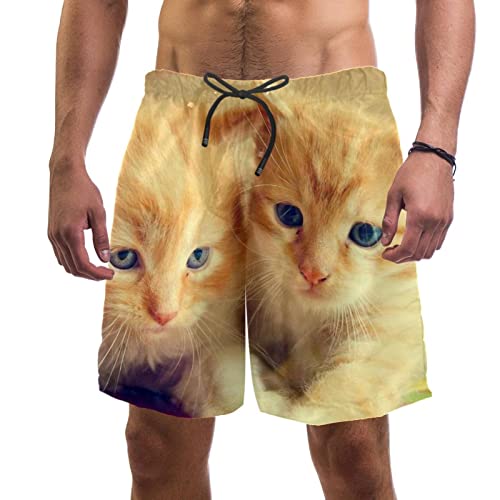 Short de plage pour hommes chats mignons idéal pour la piscine