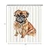 Ganshan Bi Cute Brussels Griffon Dog Portrait Shower Curtain Watercolor Animal Pet Puppy Print Bath Curtains for Bathroom Home Decoration with 12 Hooks 72x72 Inch