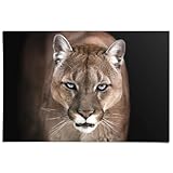 REINDERS Poster, Puma, Schlafzimmer, Poster, Wanddeko, Room 