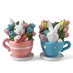 2pcs Teacup Rabbit Color 1