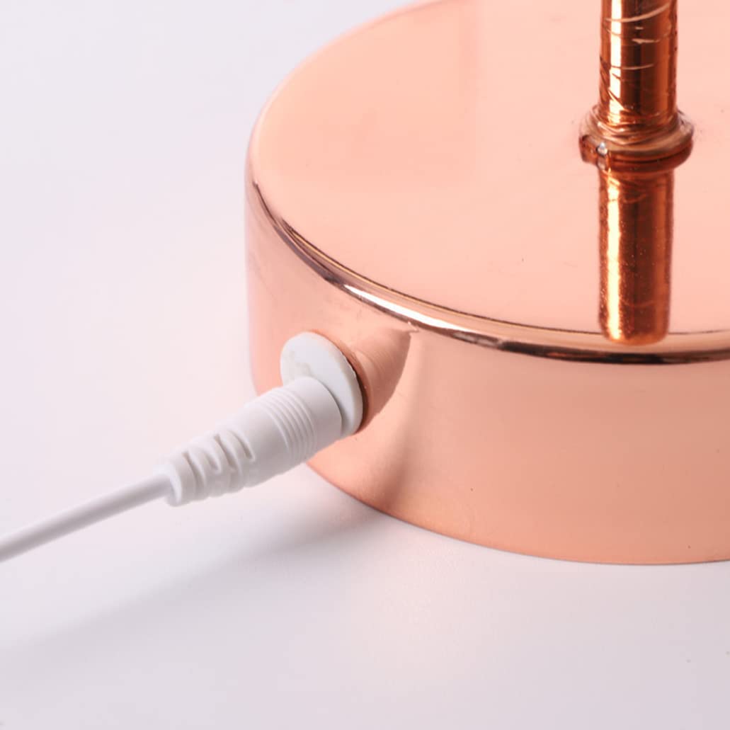 Luce notturna a LED ricaricabile tramite USB, alimentazione a batteria con telecomando, decorazione per casa, camera da letto, comodino, matrimonio, rosa