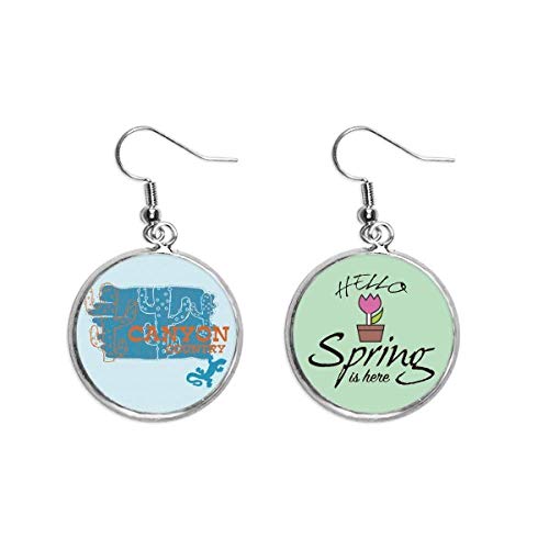 Pendientes de primavera tipo maceta colgante de suculentas para lucir en terrazas y eventos