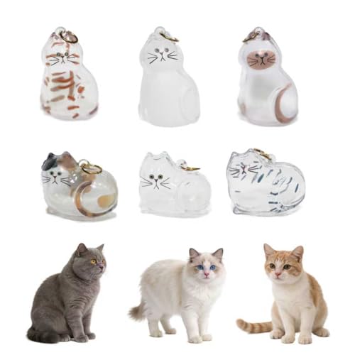 6-Pack Transparent Pet Hair Storage Capsule Keychains - Cat Fur Keepsake Memorial Set with Unique Engravings, Secure Lock Pet Fur Preservation for Multi-Cat Owners