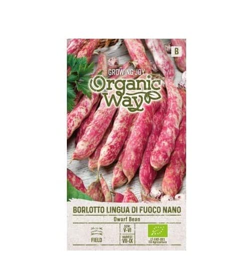 VibeX Dwarf French Bean Red Seeds-100 Seeds (B0BBH6B9QT) Amazon Price History, Amazon Price Tracker