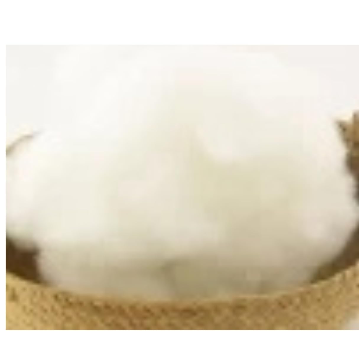 Agnirva Pure Raw Cotton for Puja Without Seeds Natural Color, Organic for Making Cotton Wicks vattulu Diya batti Flower Diya Any DIY Craft Articles for All Festivals School Projects (100 Grams)-picture-13