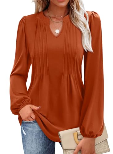 MIHOLL Tops for Women 2025 Trendy Fall Long Sleeve Shirts Halloween Blouse V Neck Pleated Casual Loose Tunic (Rust, L)